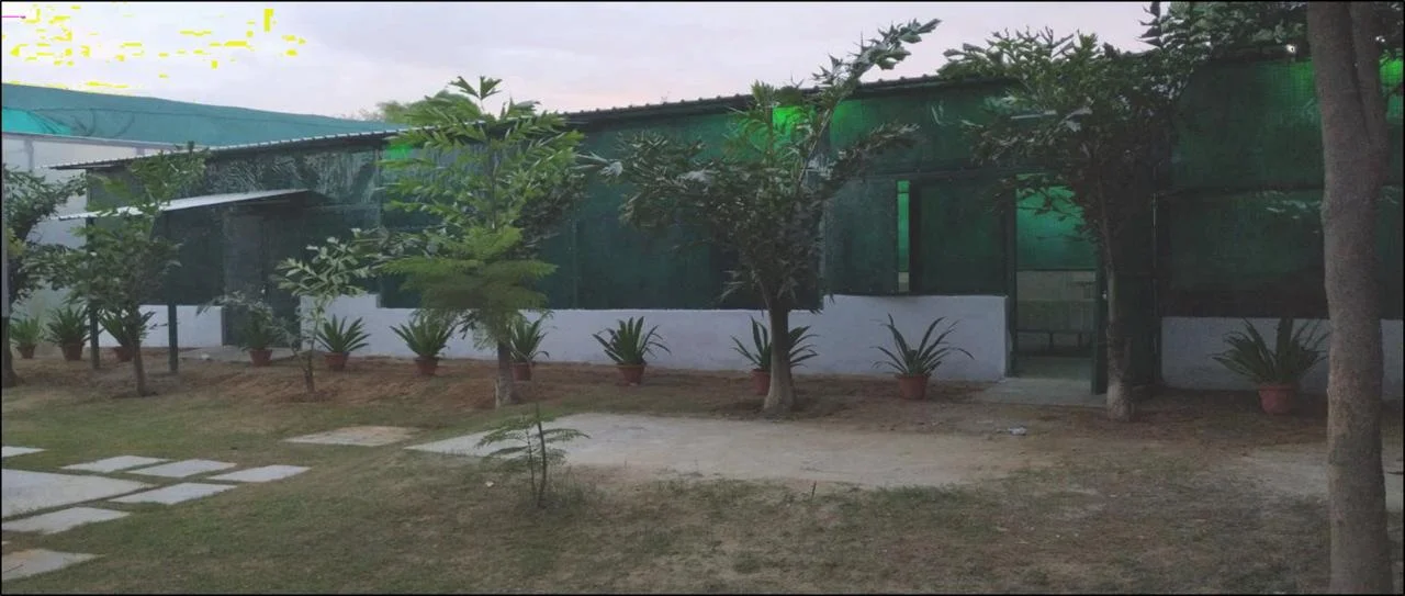 tadox